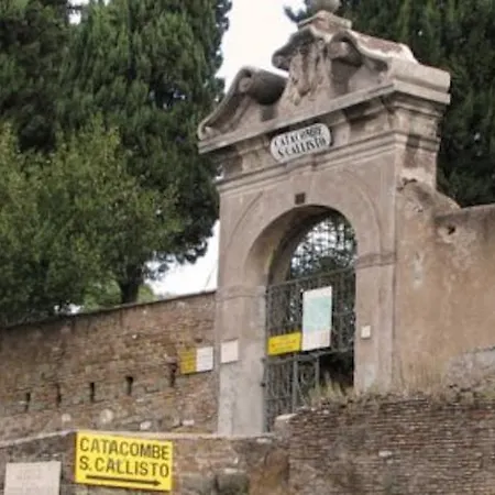 Yellow Daire *