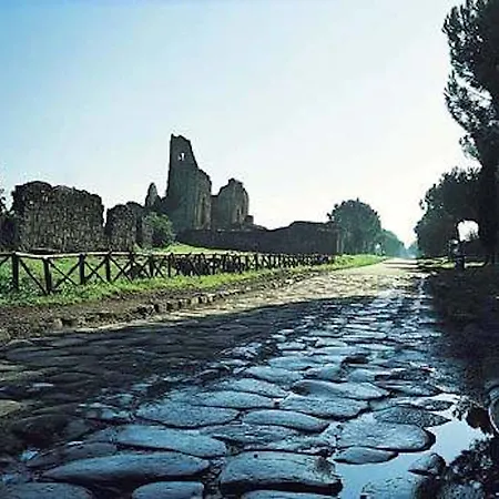 Yellow Roma
